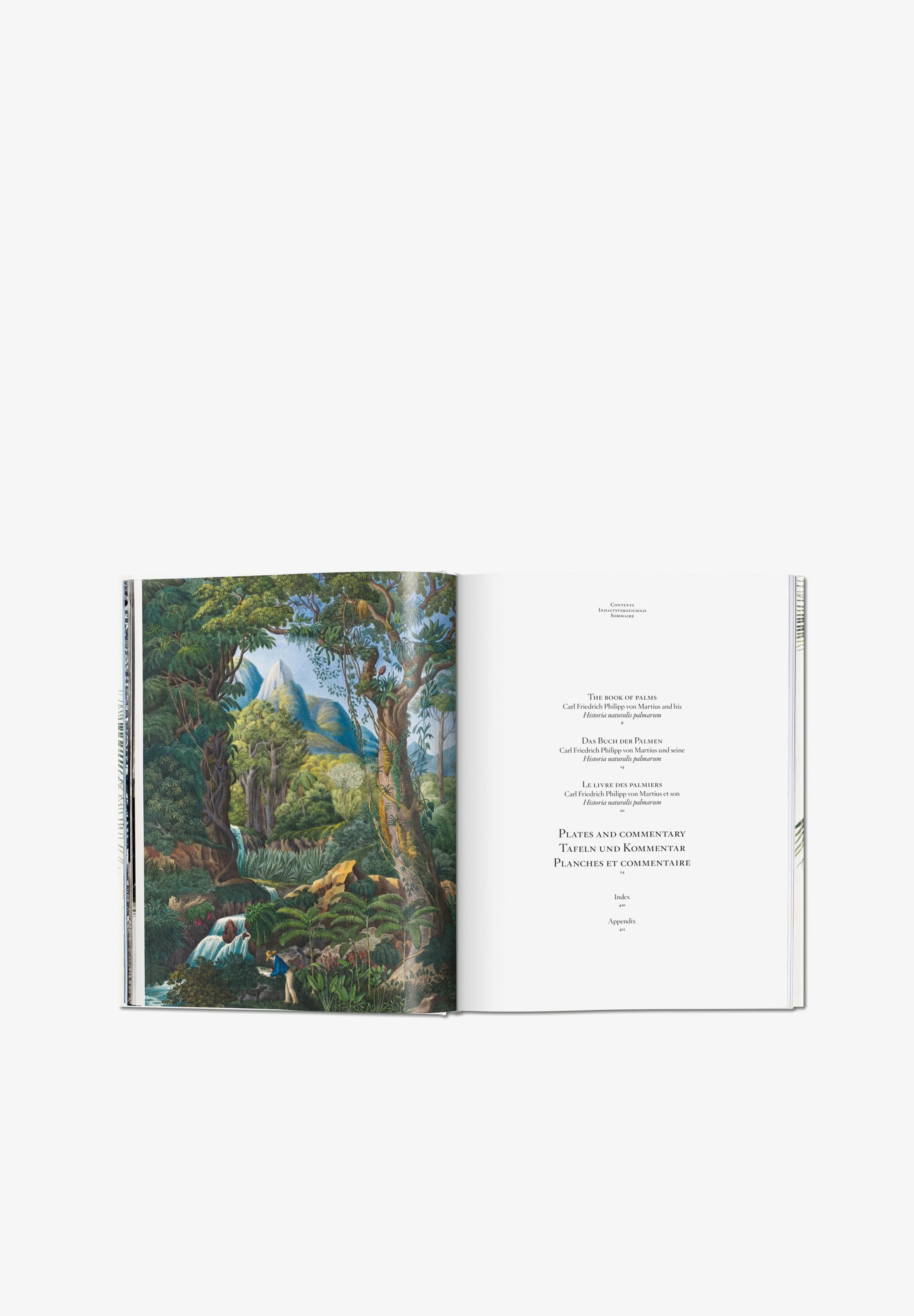 TASCHEN | LIBRO BOOK OF PALMS - Image 2
