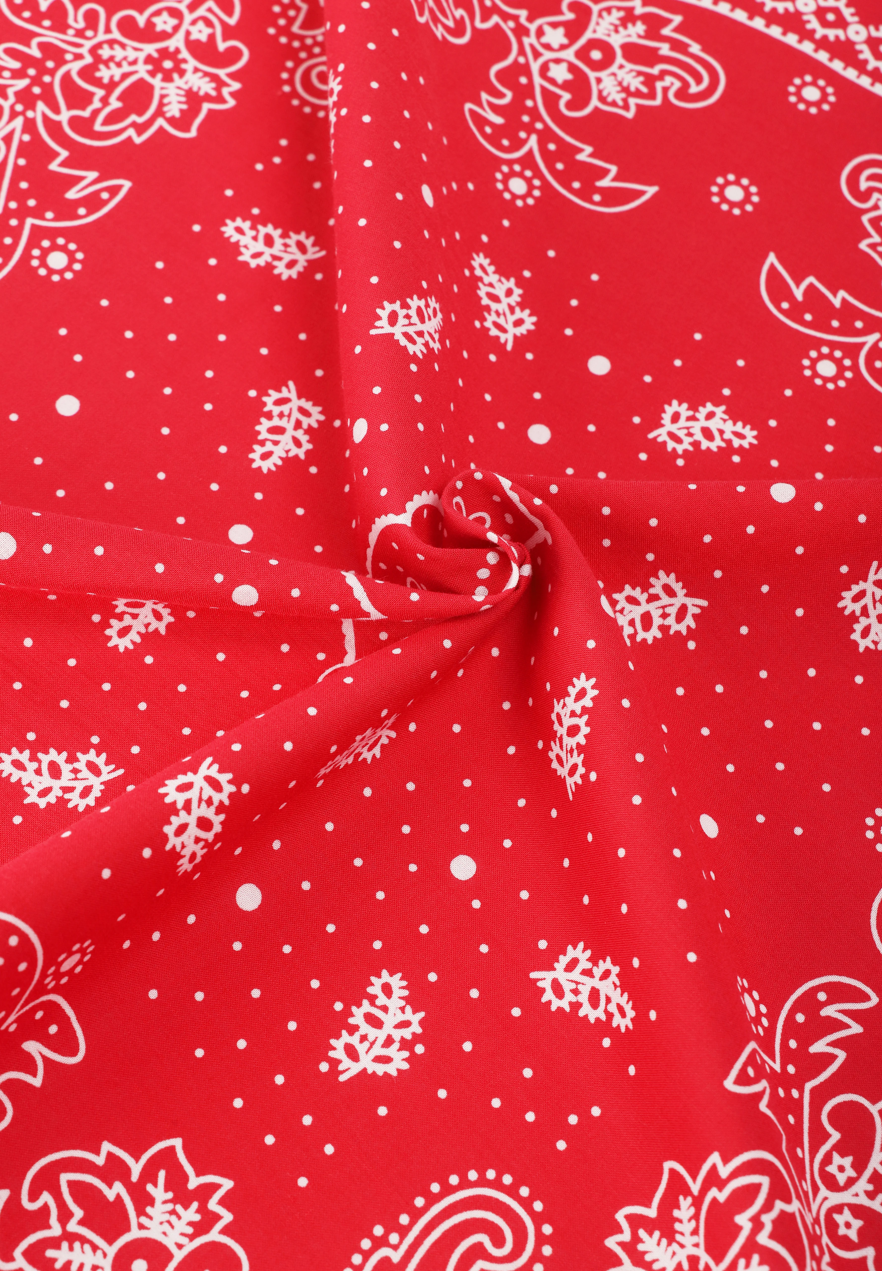 LEVIS | BANDANA PAISLEY - Image 3