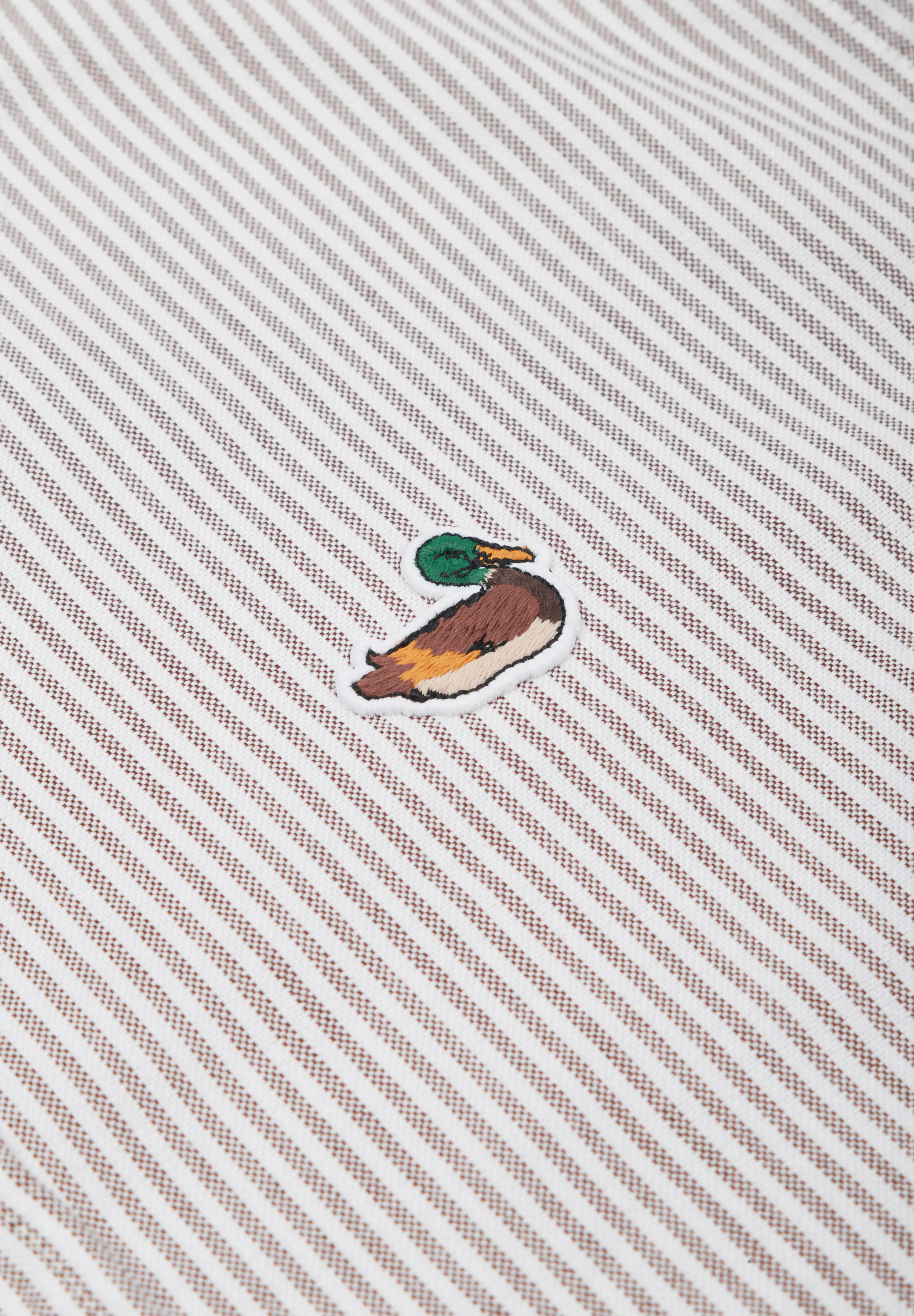 EDMMOND | CAMISA DUCK STRIPED - Image 4