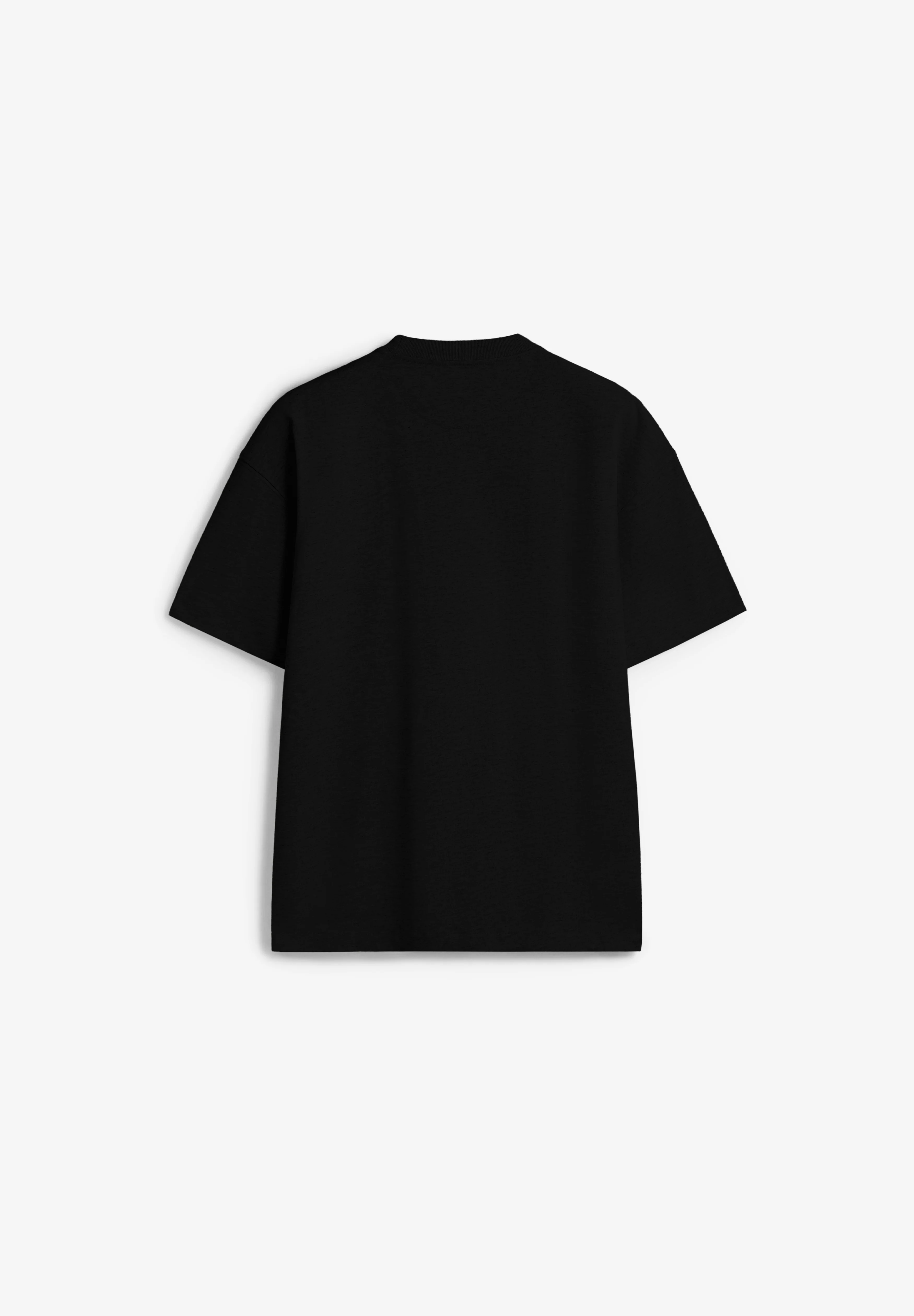 DICKIES | CAMISETA MINERAL HEAVYWEIGHT - Image 2